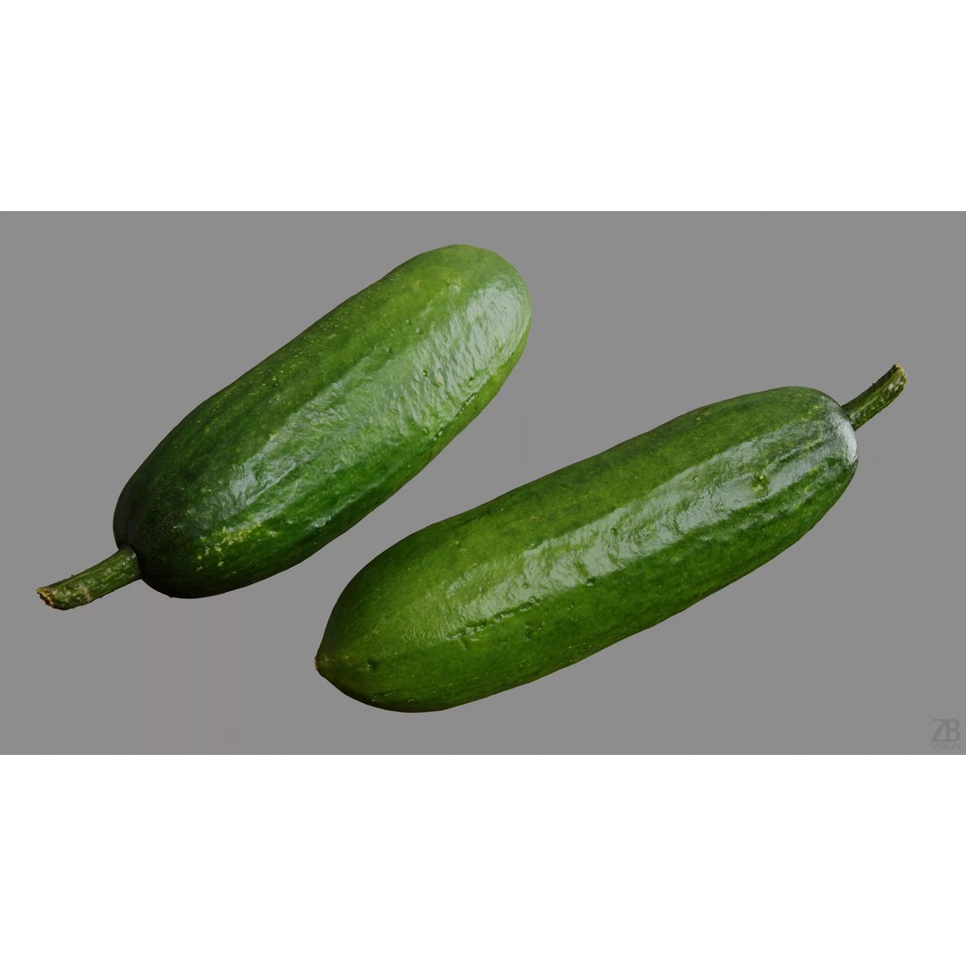Cucumber 3D Model – Photorealistic Gherkin, PBR Textures, FBX, OBJ