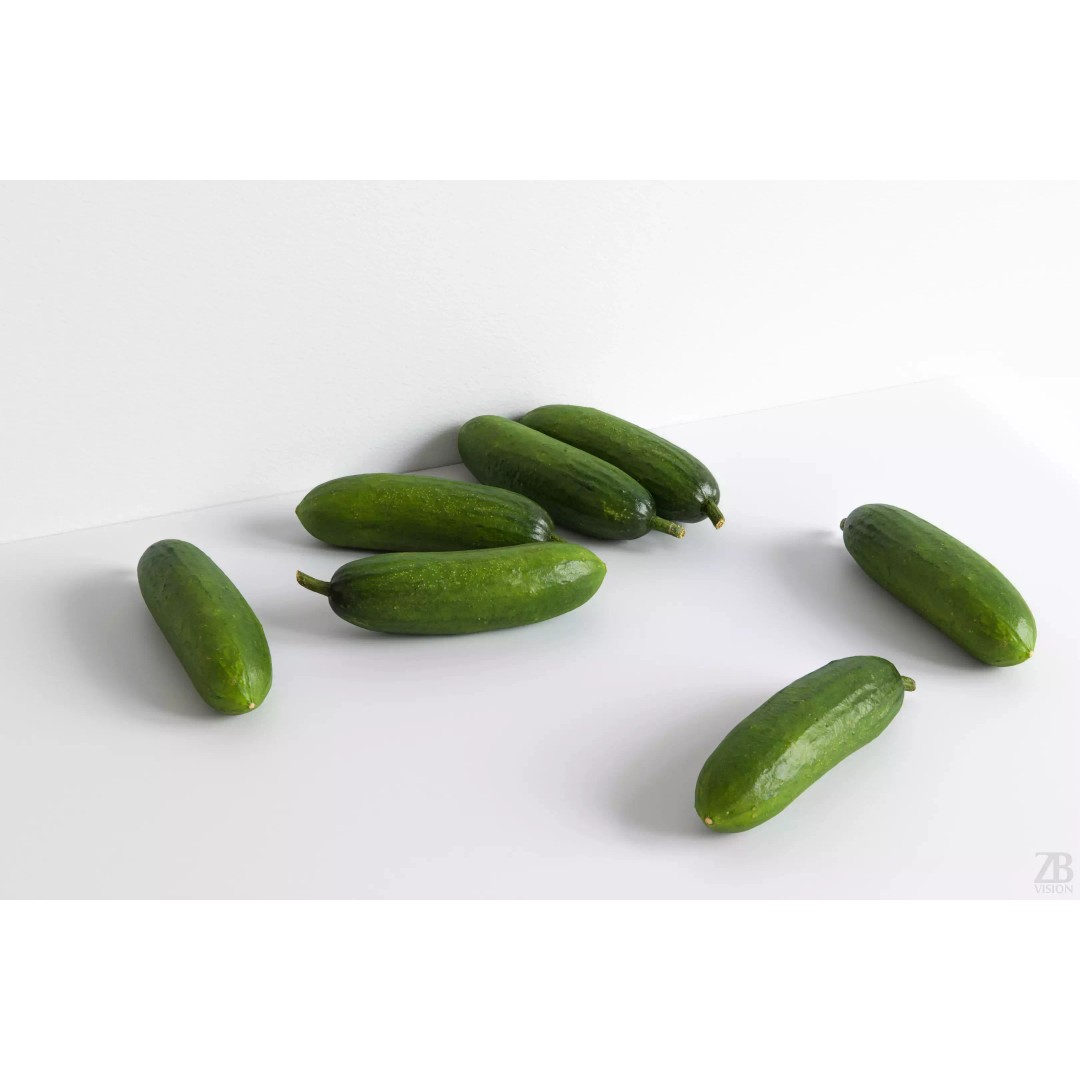 Cucumber 3D Model – Photorealistic Gherkin, PBR Textures, FBX, OBJ - View 2