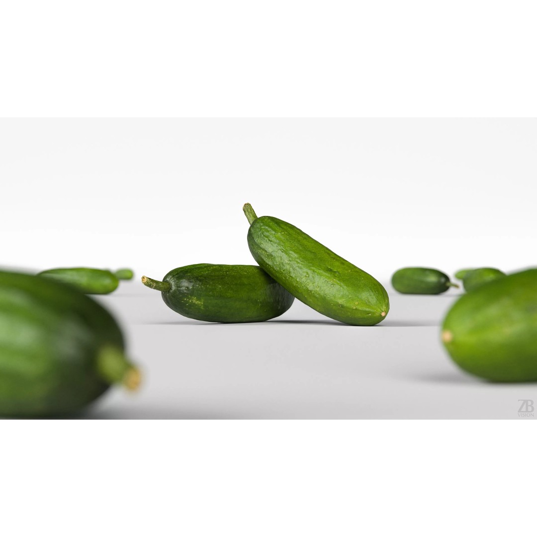 Cucumber 3D Model – Photorealistic Gherkin, PBR Textures, FBX, OBJ - View 3