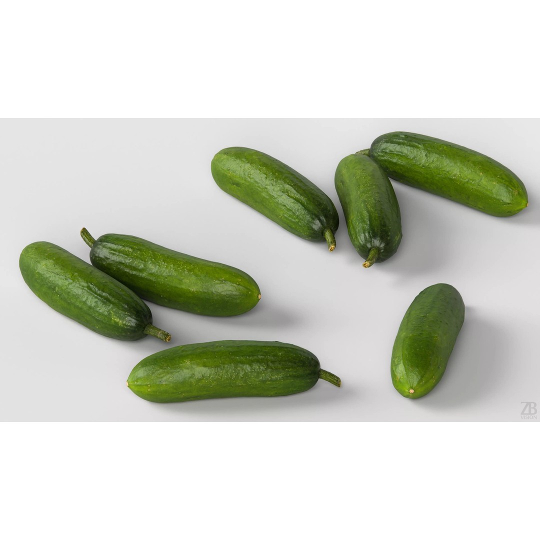 Cucumber 3D Model – Photorealistic Gherkin, PBR Textures, FBX, OBJ - View 4