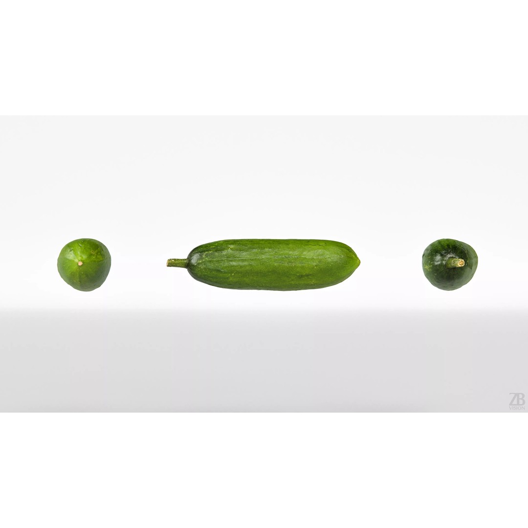 Cucumber 3D Model – Photorealistic Gherkin, PBR Textures, FBX, OBJ - View 6