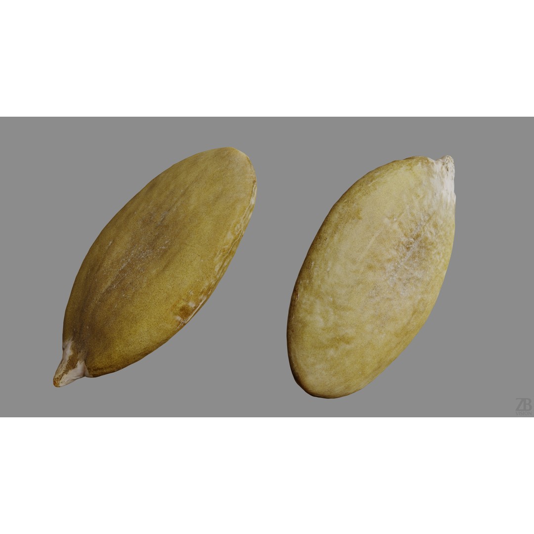 Pumpkin Seed 3D Model – Photorealistic Food Asset, PBR, OBJ, FBX