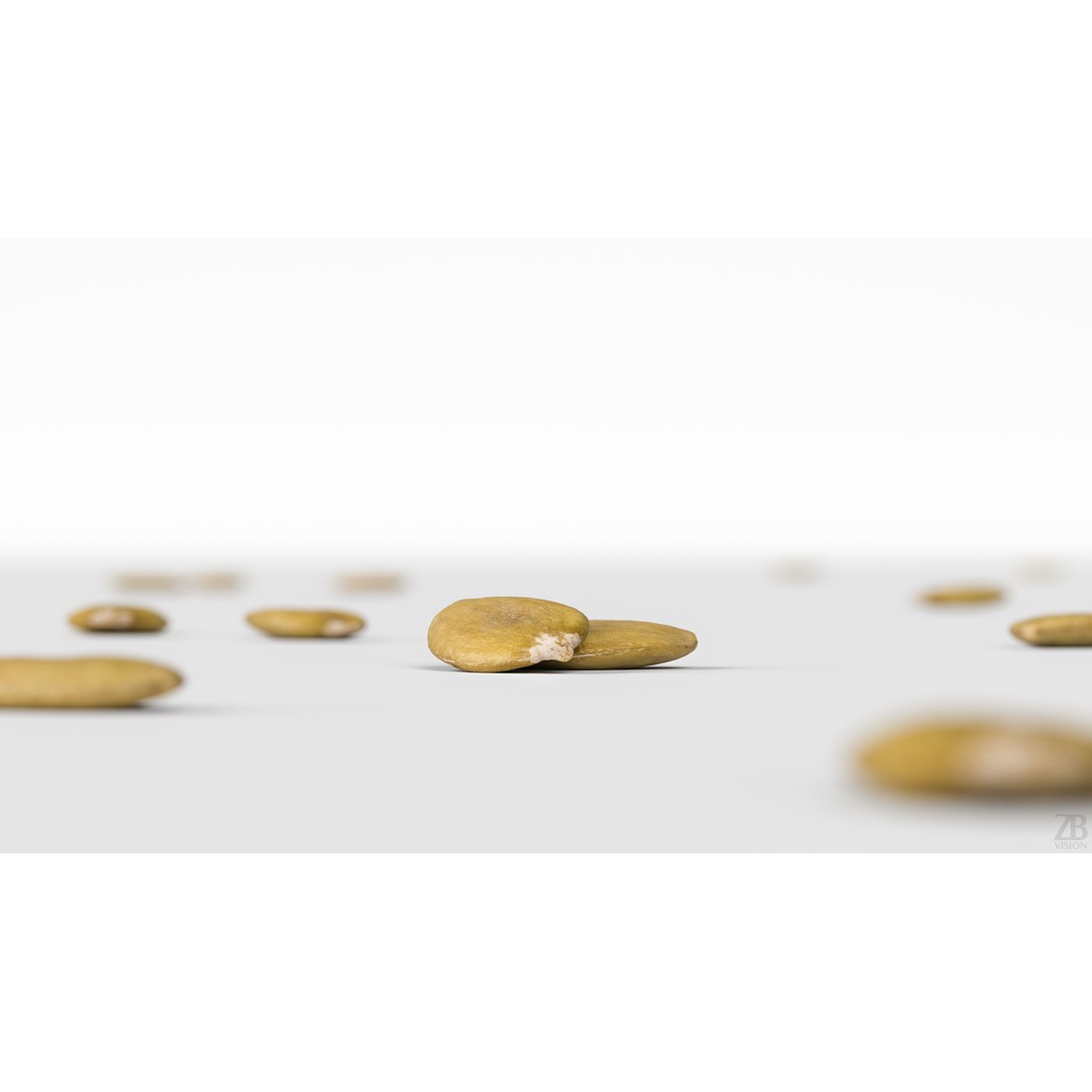 Pumpkin Seed 3D Model – Photorealistic Food Asset, PBR, OBJ, FBX - View 3