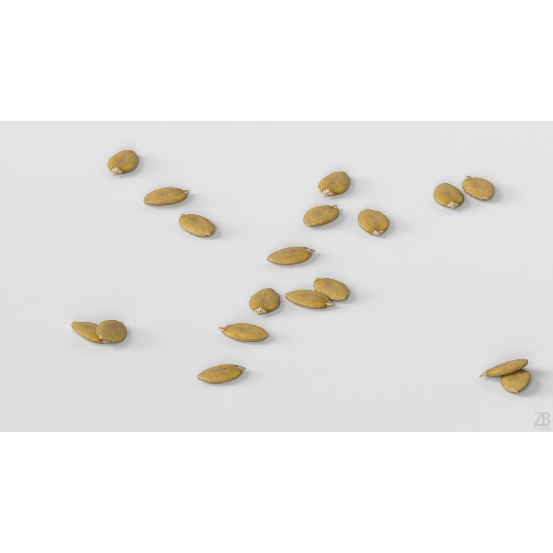 Pumpkin Seed 3D Model – Photorealistic Food Asset, PBR, OBJ, FBX - View 4