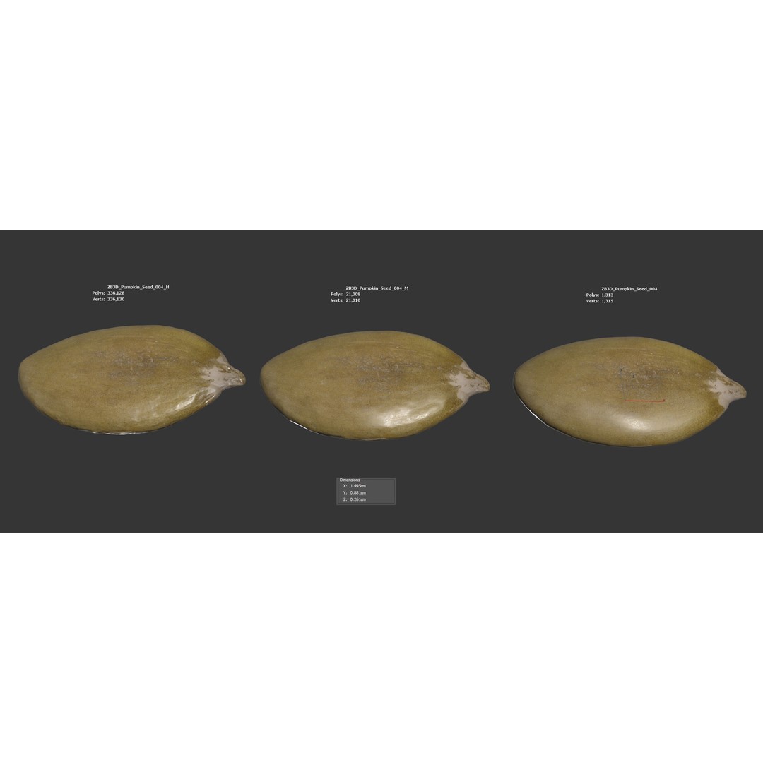 Pumpkin Seed 3D Model – Photorealistic Food Asset, PBR, OBJ, FBX - View 7