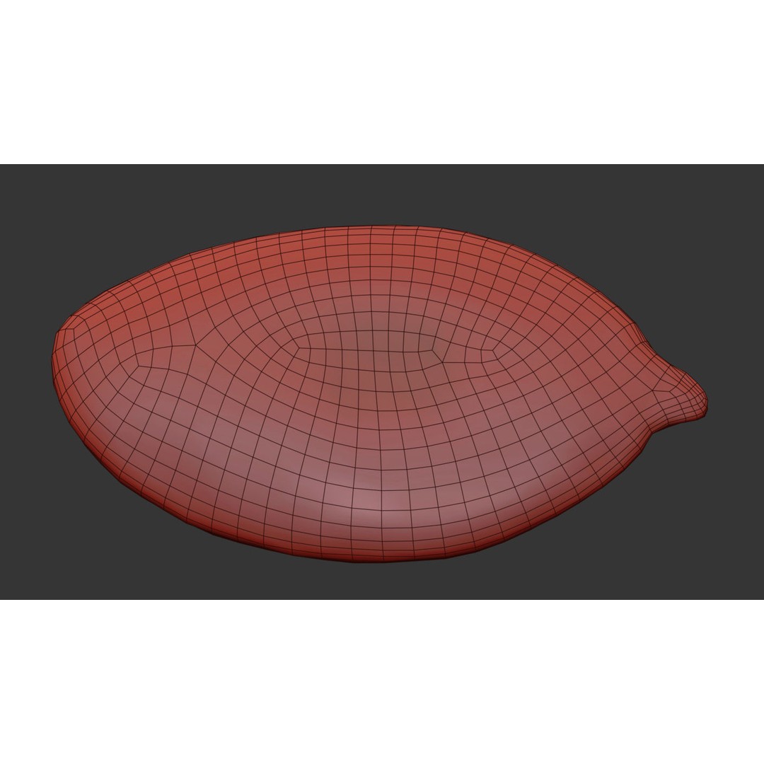 Pumpkin Seed 3D Model – Photorealistic Food Asset, PBR, OBJ, FBX - View 8