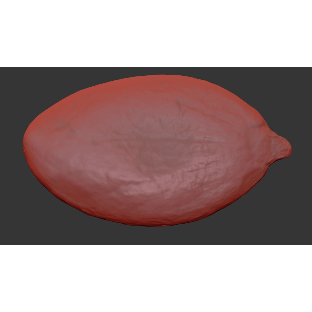 Pumpkin Seed 3D Model – Photorealistic Food Asset, PBR, OBJ, FBX - View 9