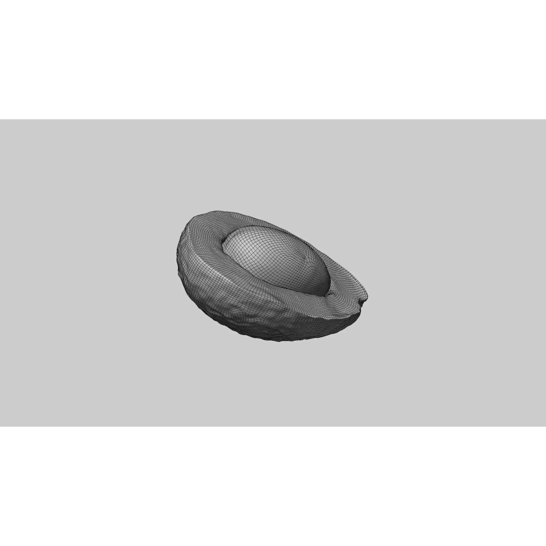 Half Cut Avocado 3D Model – Photorealistic PBR Asset, FBX, OBJ - View 10