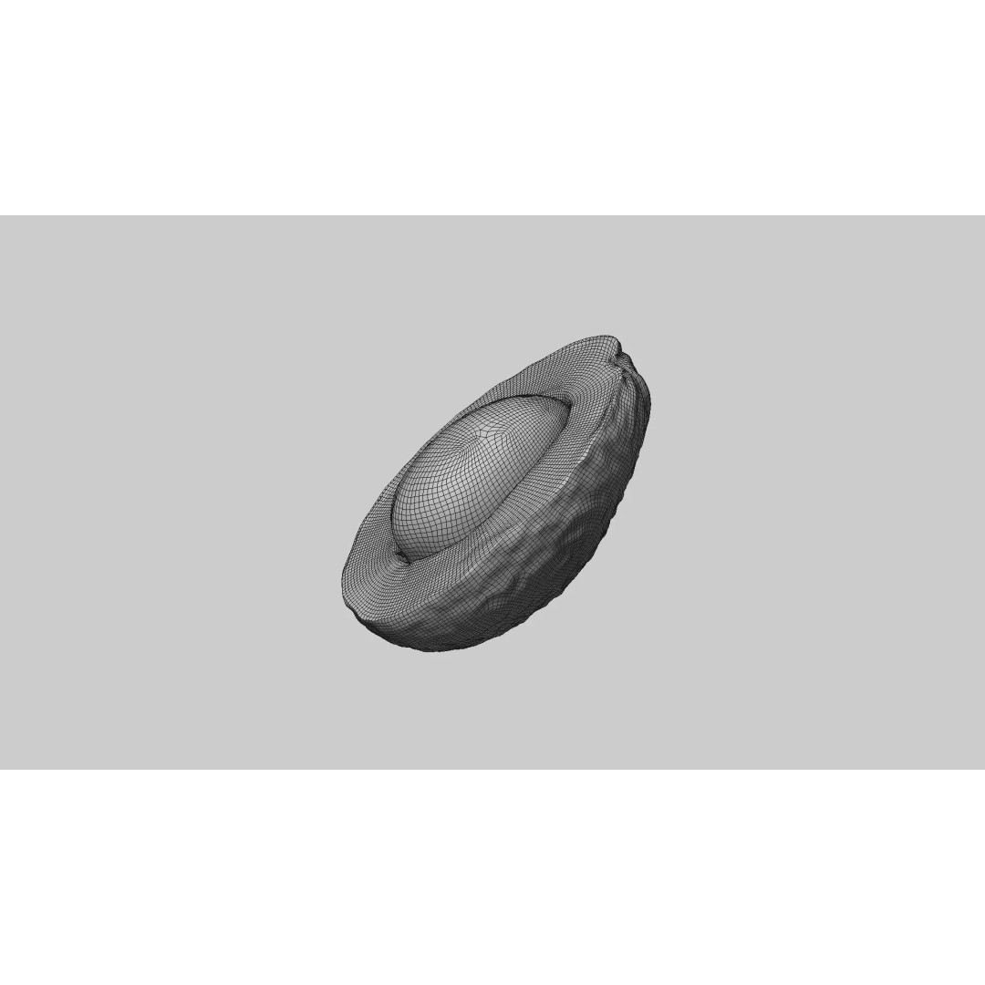 Half Cut Avocado 3D Model – Photorealistic PBR Asset, FBX, OBJ - View 8