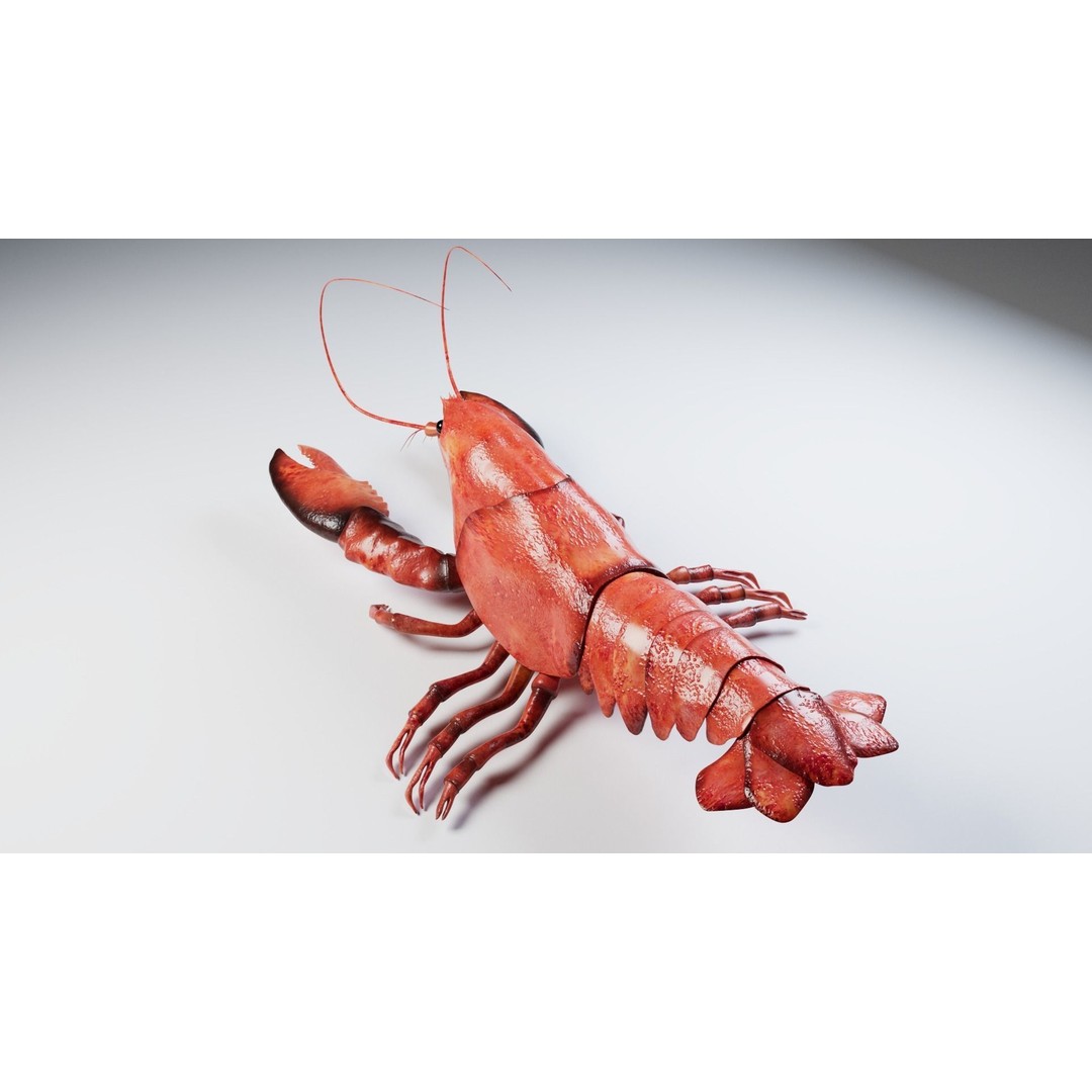 Lobster 3D Model – Realistic Crustacean for Games, FBX - View 10