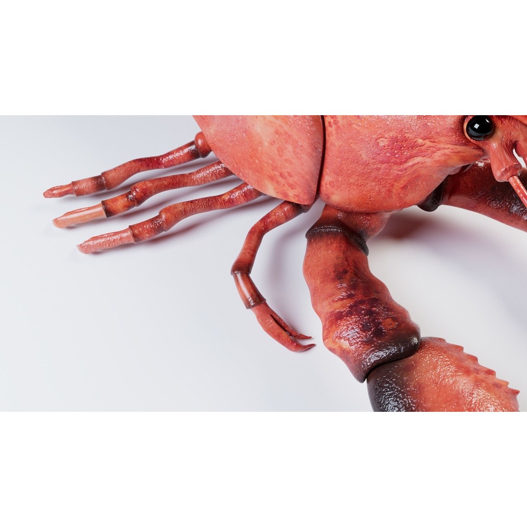 Lobster 3D Model – Realistic Crustacean for Games, FBX - View 12