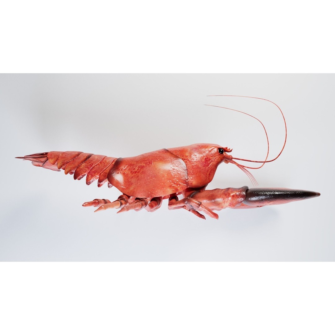 Lobster 3D Model – Realistic Crustacean for Games, FBX - View 14