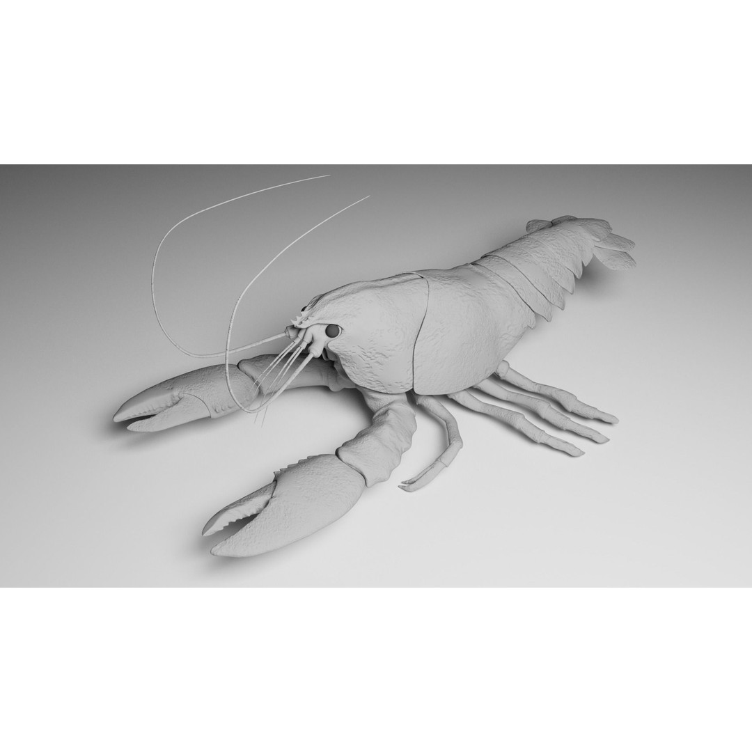 Lobster 3D Model – Realistic Crustacean for Games, FBX - View 3