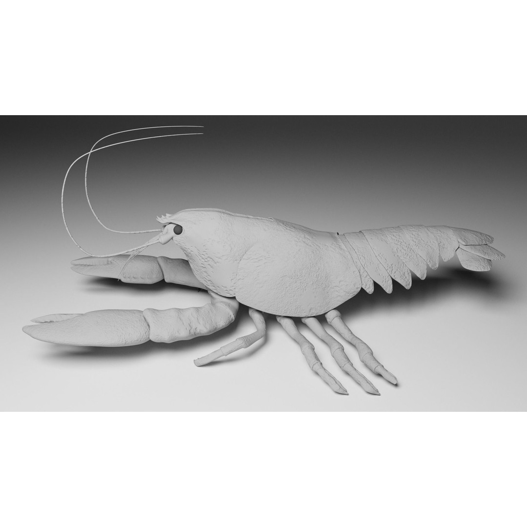 Lobster 3D Model – Realistic Crustacean for Games, FBX - View 4