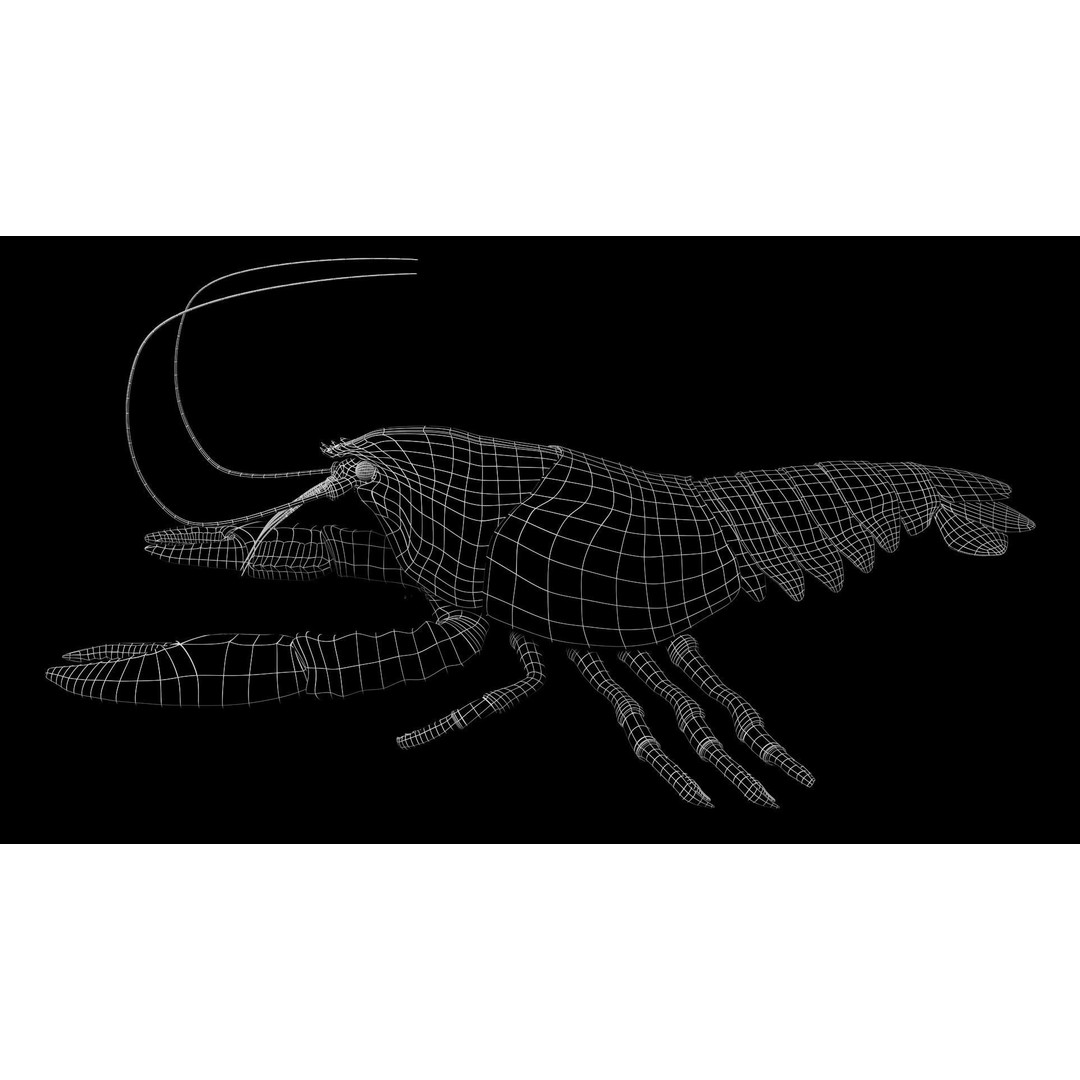 Lobster 3D Model – Realistic Crustacean for Games, FBX - View 5