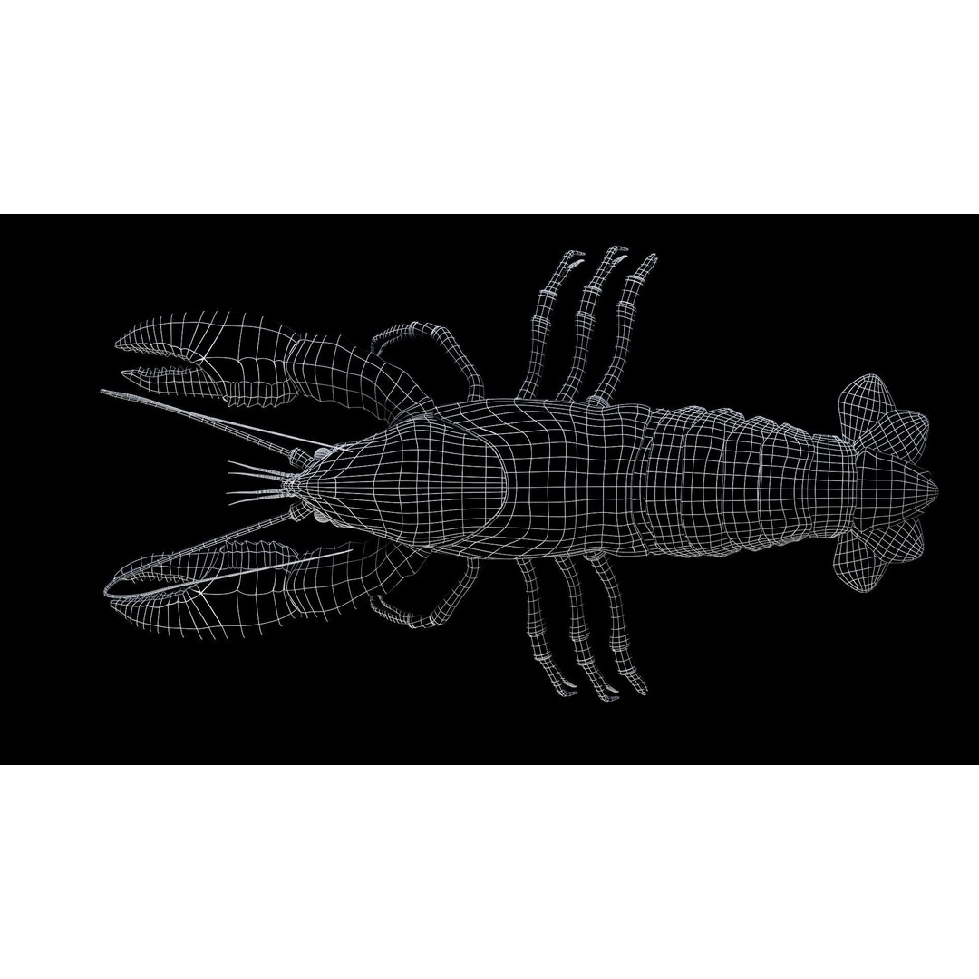 Lobster 3D Model – Realistic Crustacean for Games, FBX - View 6