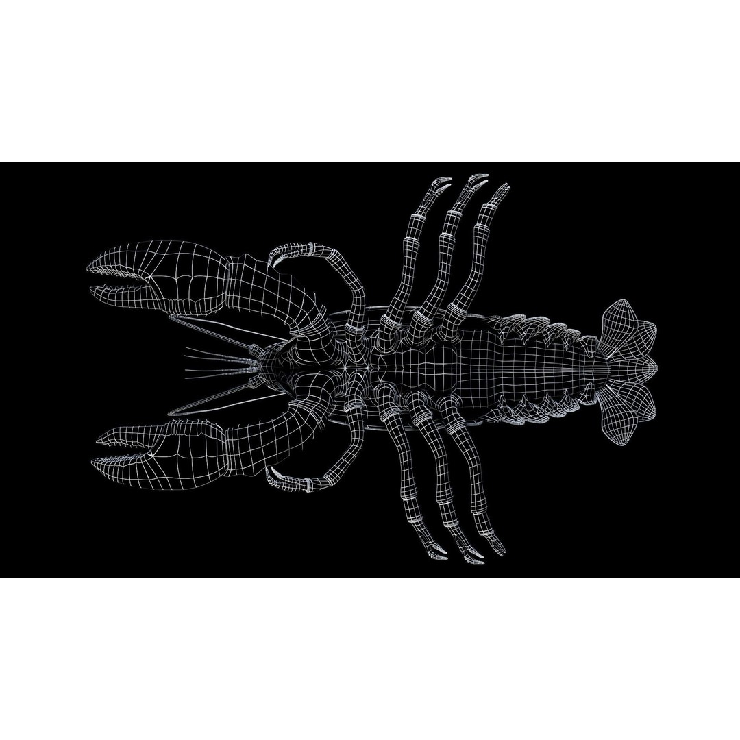 Lobster 3D Model – Realistic Crustacean for Games, FBX - View 7
