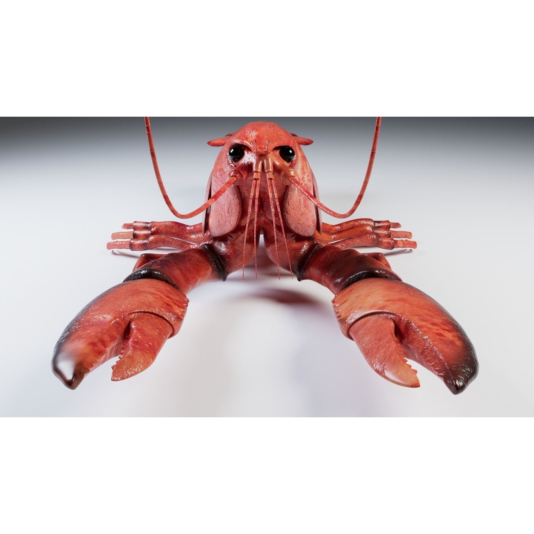Lobster 3D Model – Realistic Crustacean for Games, FBX - View 8