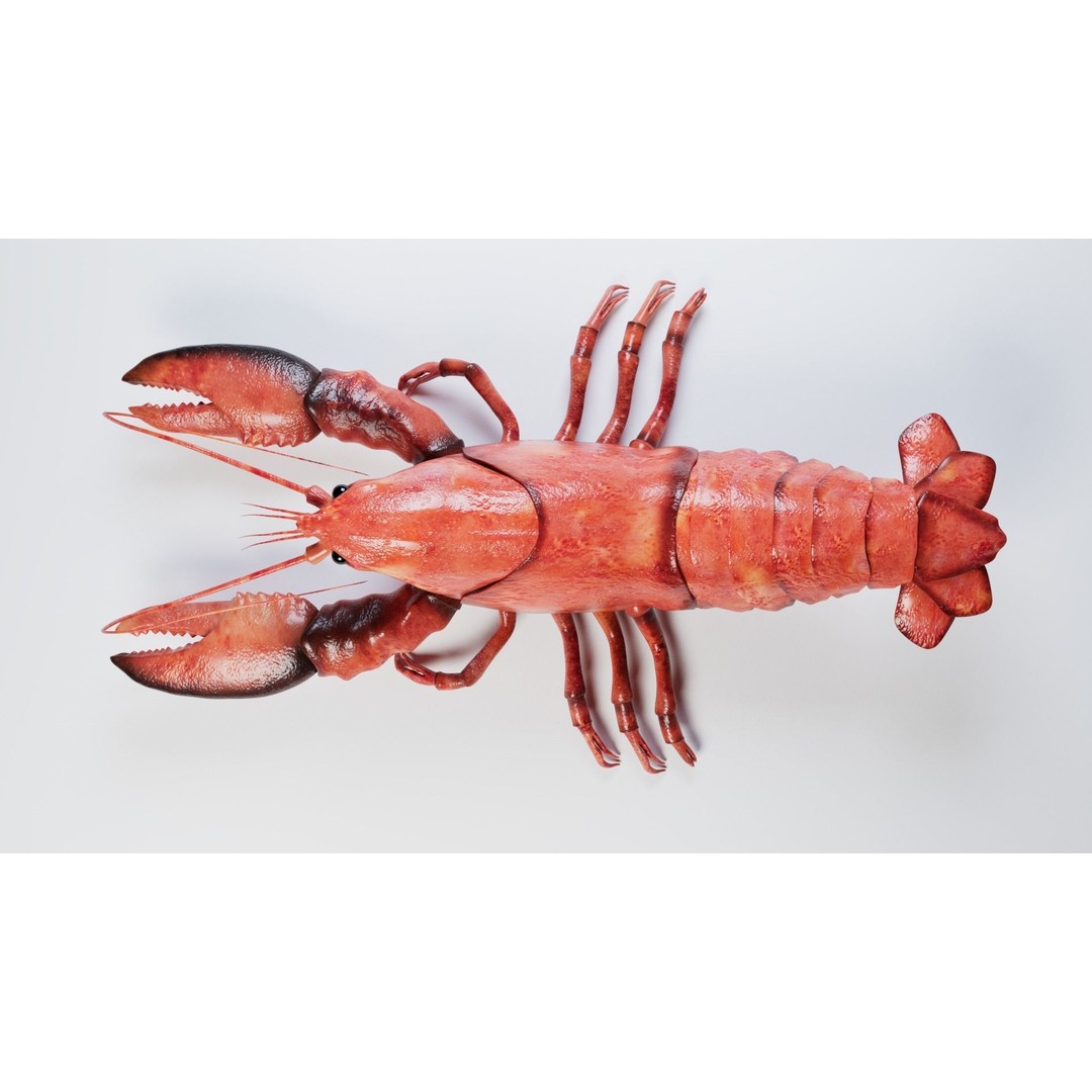 Lobster 3D Model – Realistic Crustacean for Games, FBX - View 9