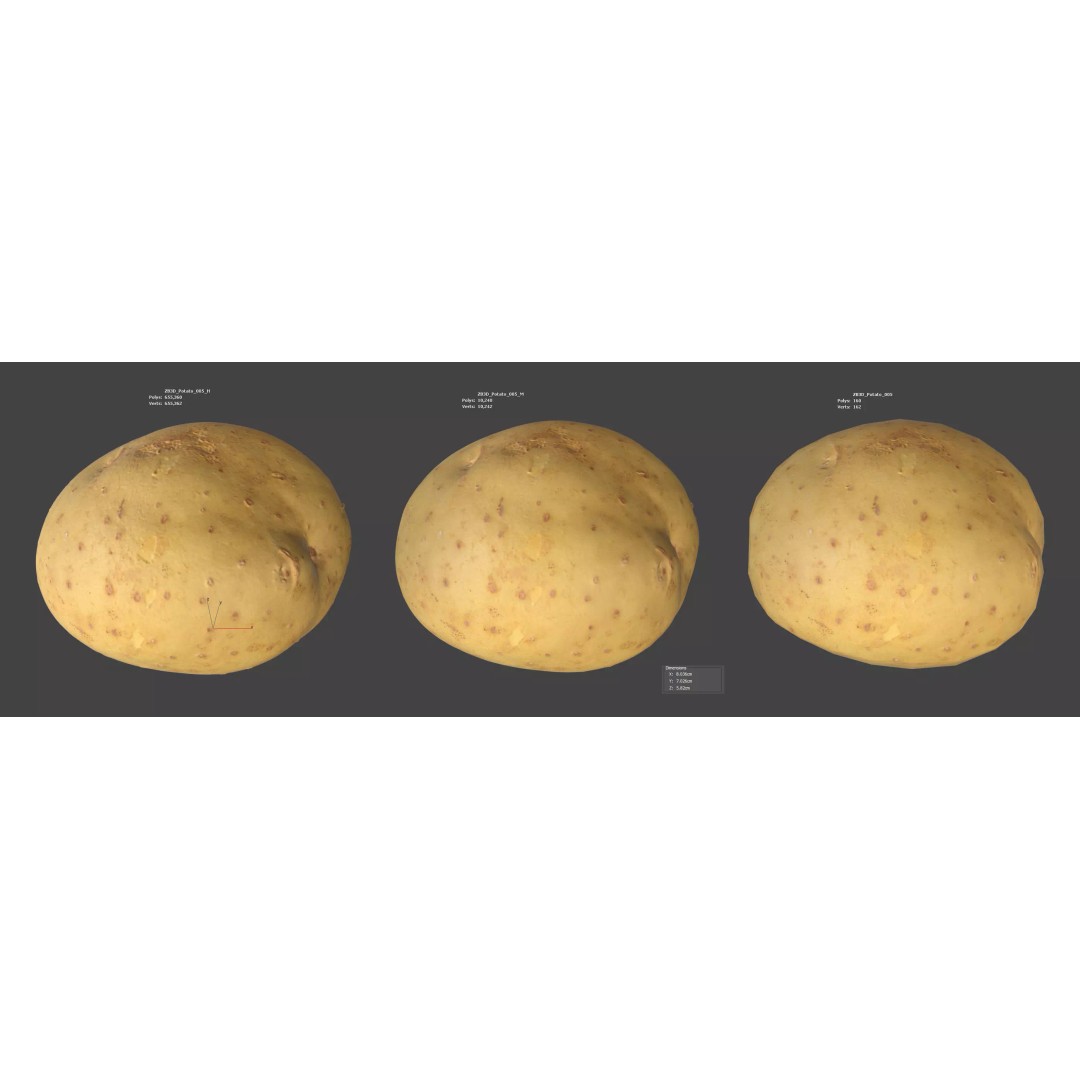 Potato 3D Model – Photorealistic Vegetable Asset, FBX/OBJ - View 10