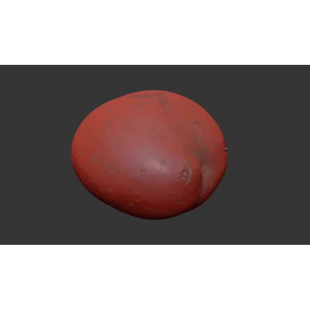 Potato 3D Model – Photorealistic Vegetable Asset, FBX/OBJ - View 12