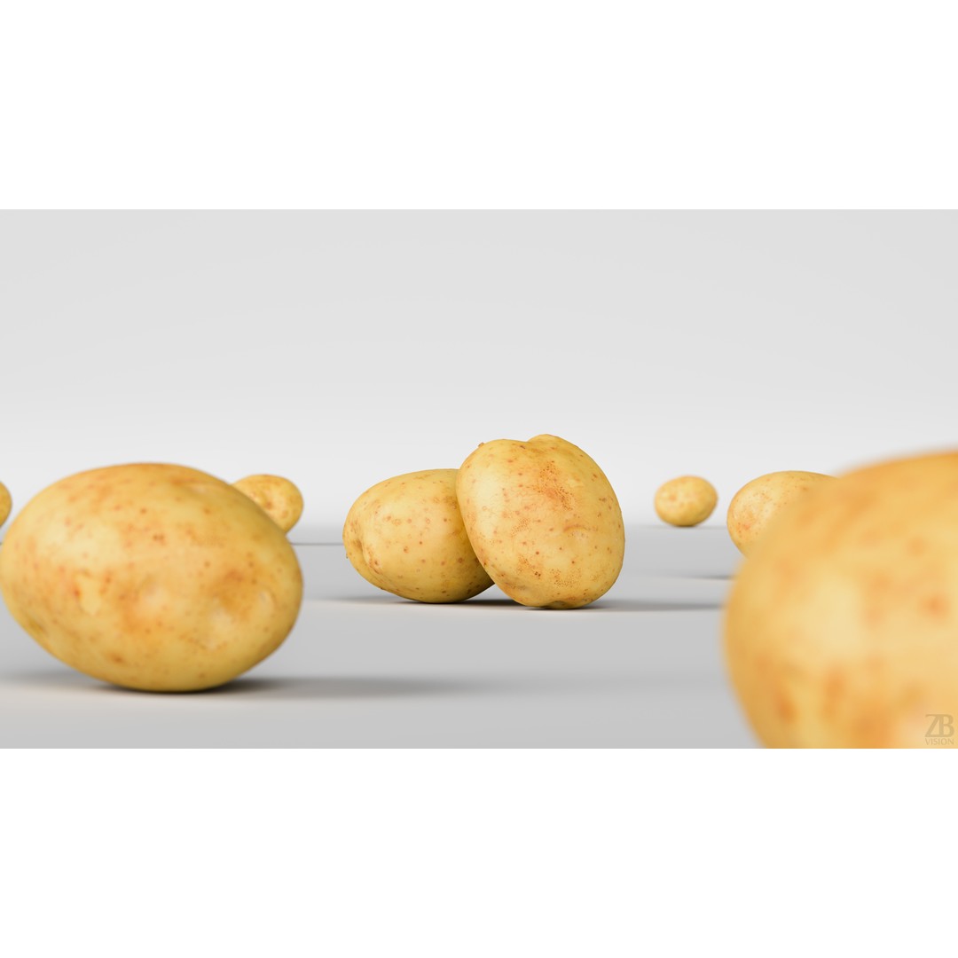 Potato 3D Model – Photorealistic Vegetable Asset, FBX/OBJ - View 3