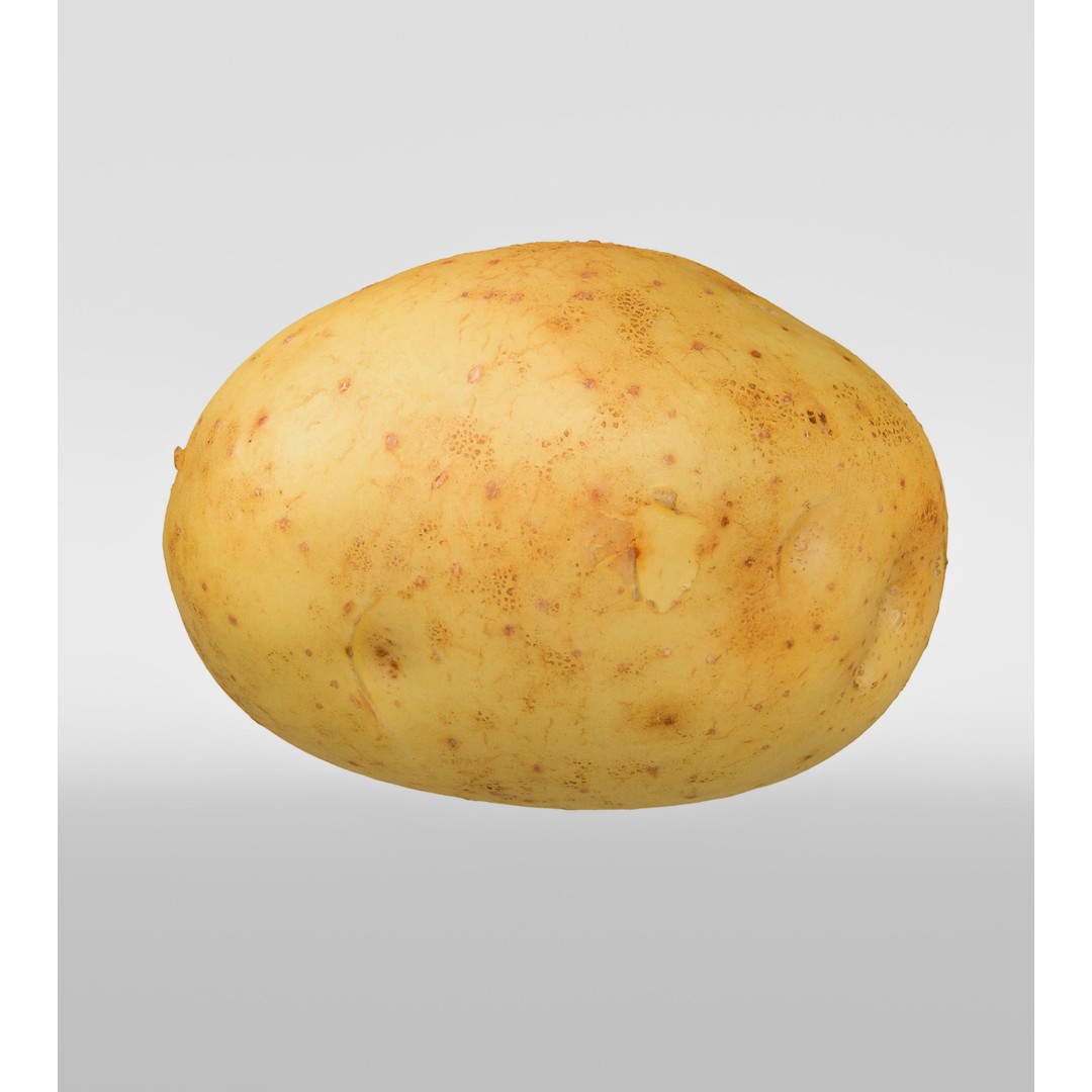 Potato 3D Model – Photorealistic Vegetable Asset, FBX/OBJ - View 7