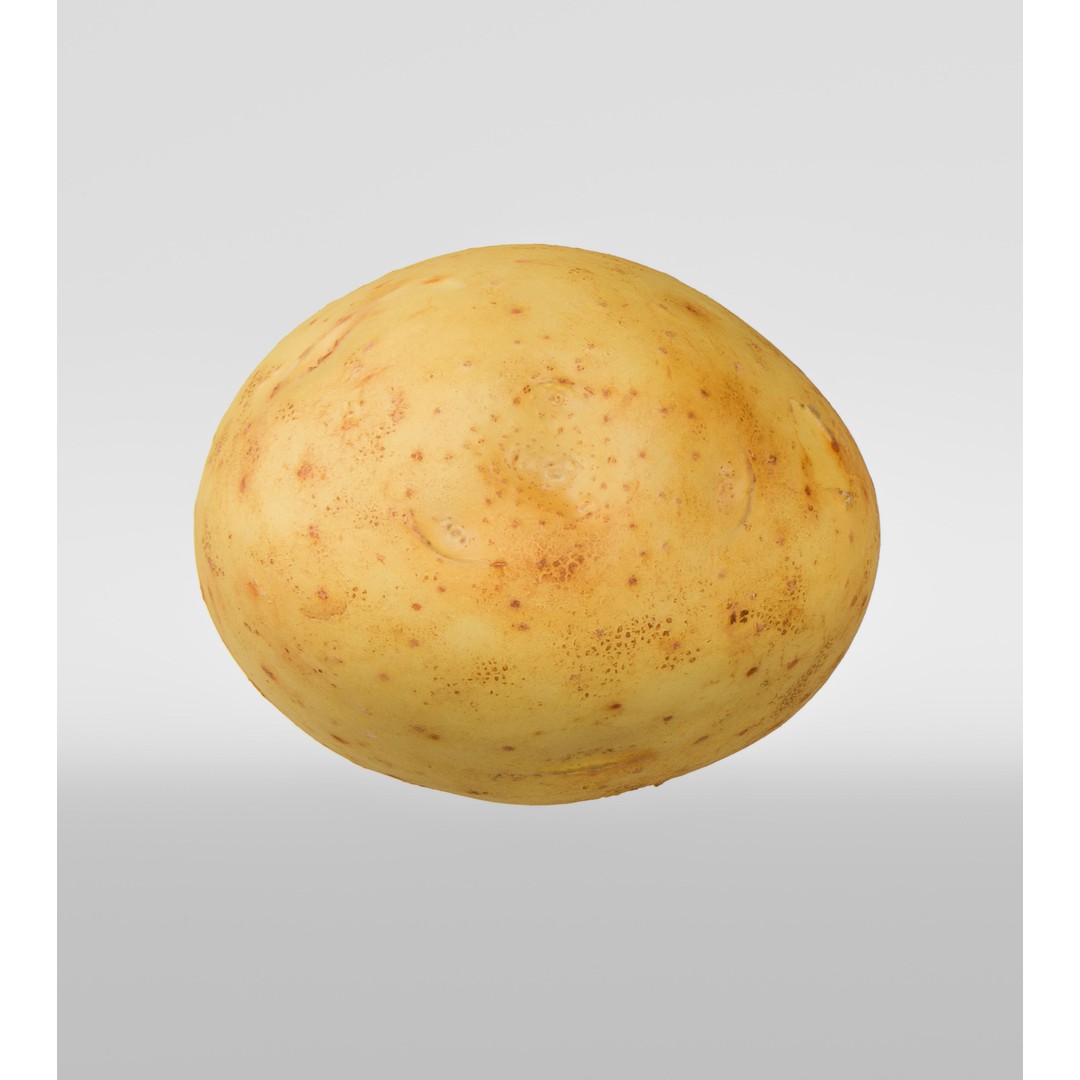 Potato 3D Model – Photorealistic Vegetable Asset, FBX/OBJ - View 8