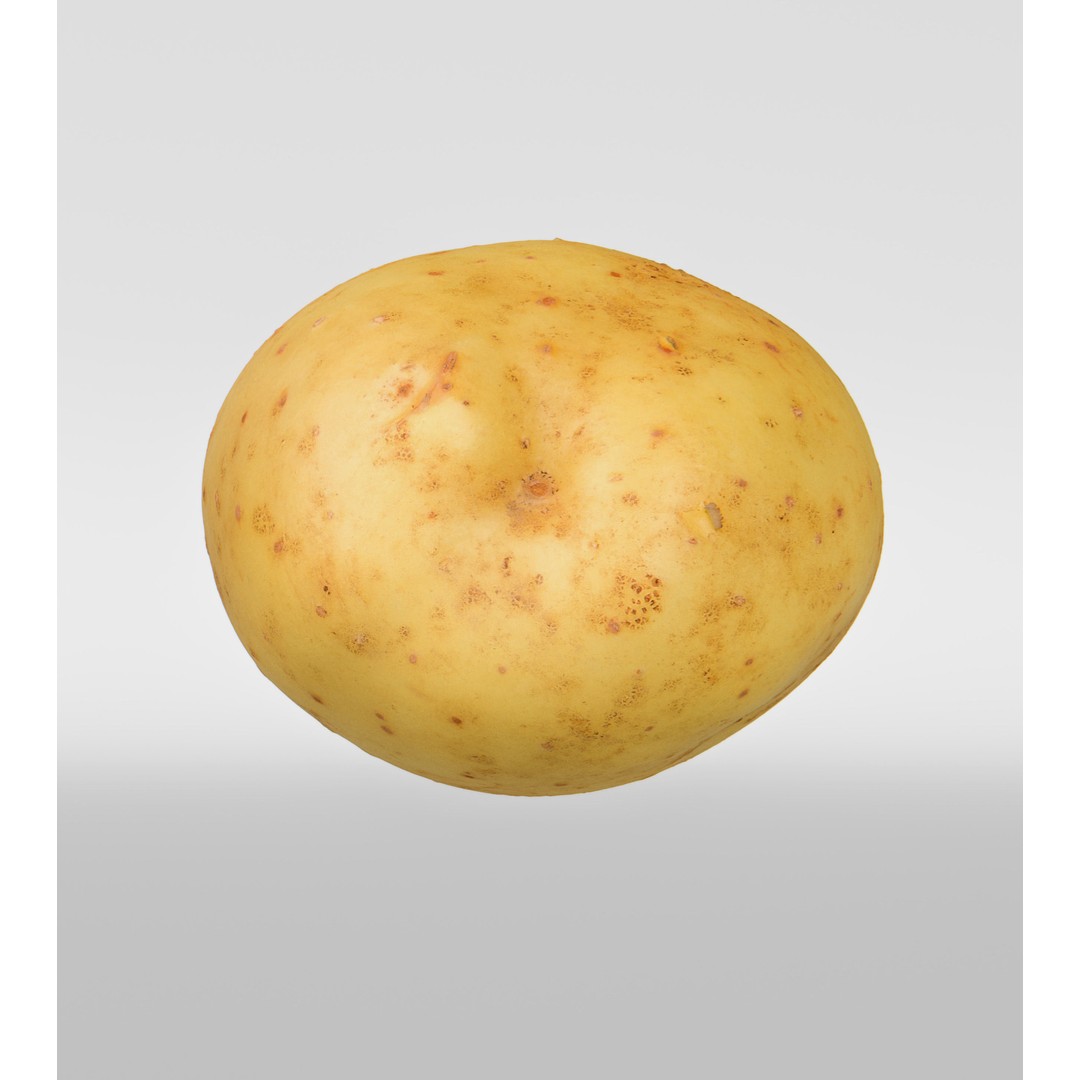 Potato 3D Model – Photorealistic Vegetable Asset, FBX/OBJ - View 9