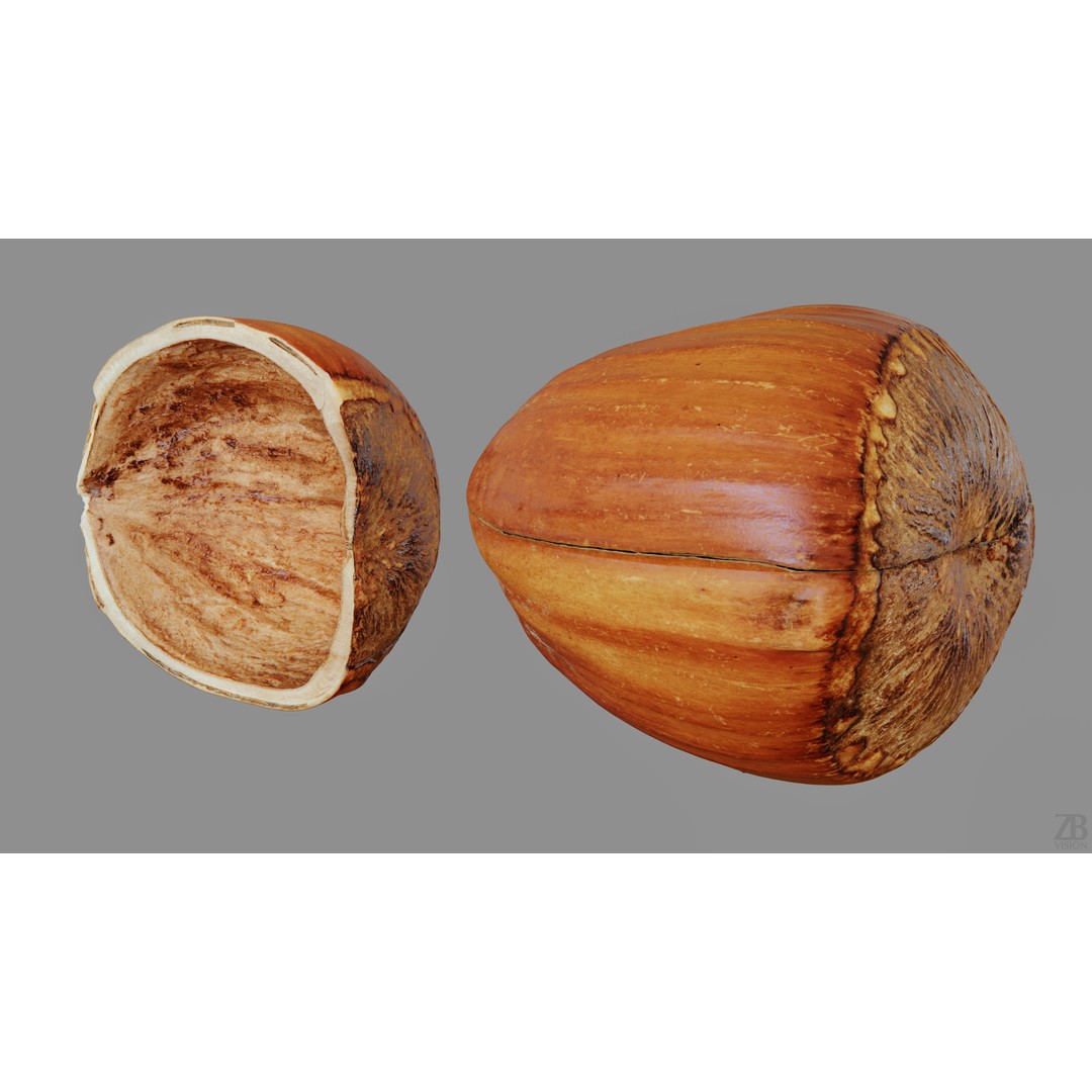 Hazelnut 3D Model – Photorealistic Game Asset, FBX & OBJ