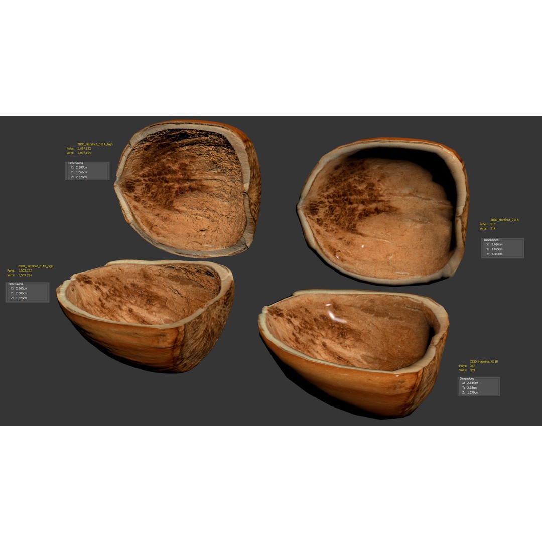 Hazelnut 3D Model – Photorealistic Game Asset, FBX & OBJ - View 10