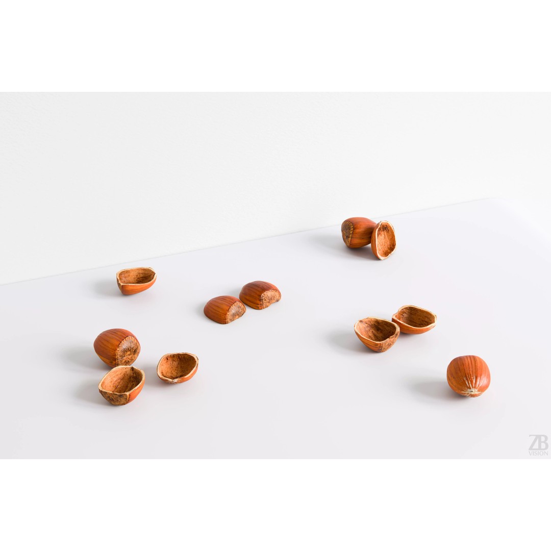 Hazelnut 3D Model – Photorealistic Game Asset, FBX & OBJ - View 2