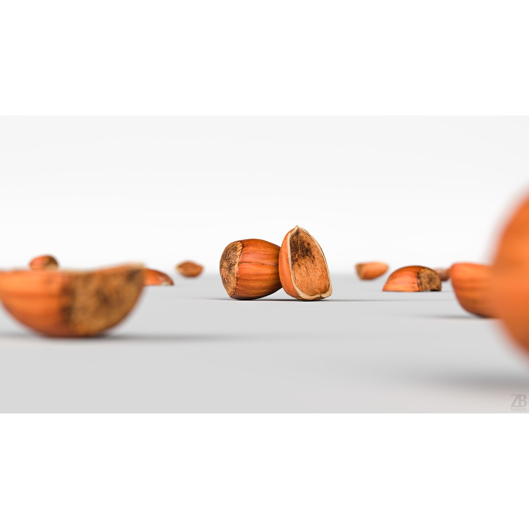 Hazelnut 3D Model – Photorealistic Game Asset, FBX & OBJ - View 3