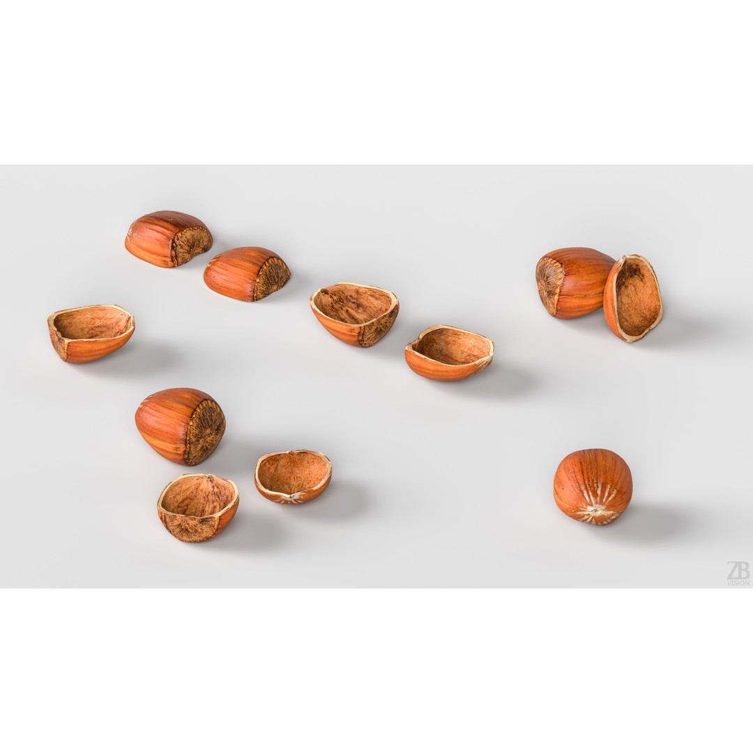 Hazelnut 3D Model – Photorealistic Game Asset, FBX & OBJ - View 4