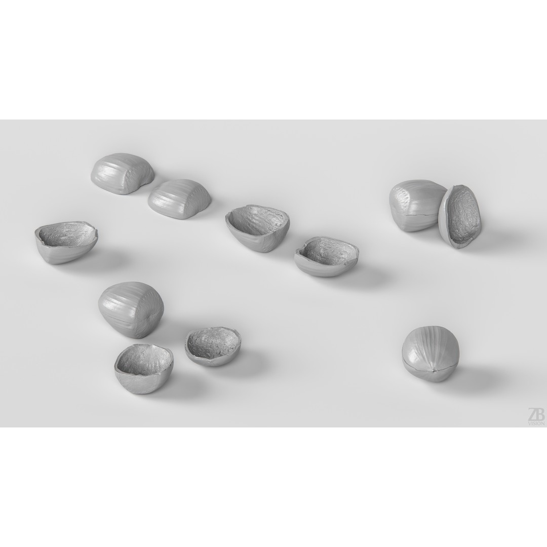 Hazelnut 3D Model – Photorealistic Game Asset, FBX & OBJ - View 5