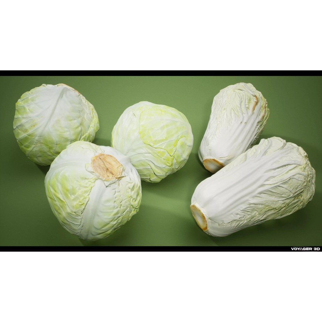 Photogrammetric Vegetable Pack 3D Model – Low Poly PBR Asset, FBX - View 4