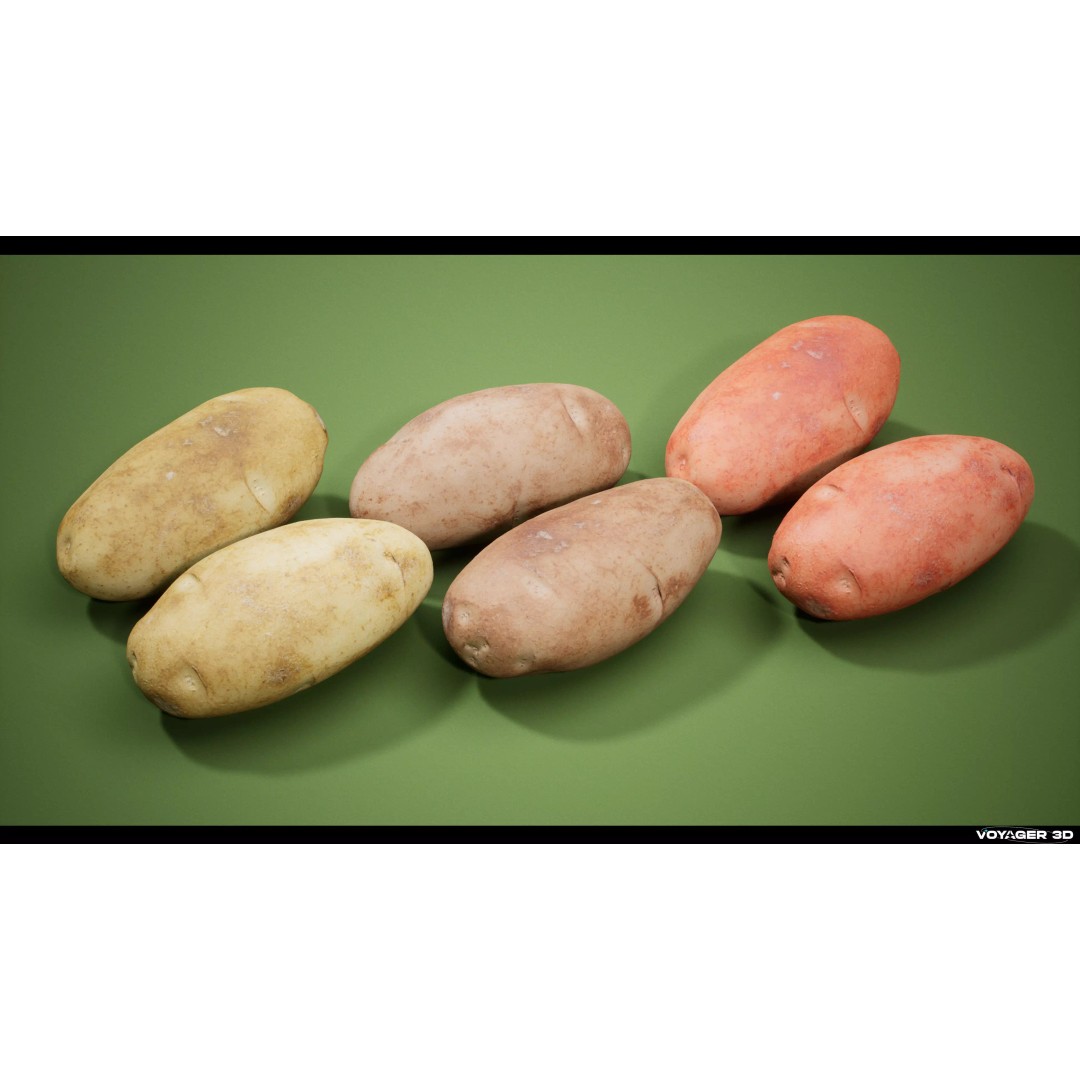Photogrammetric Vegetable Pack 3D Model – Low Poly PBR Asset, FBX - View 9