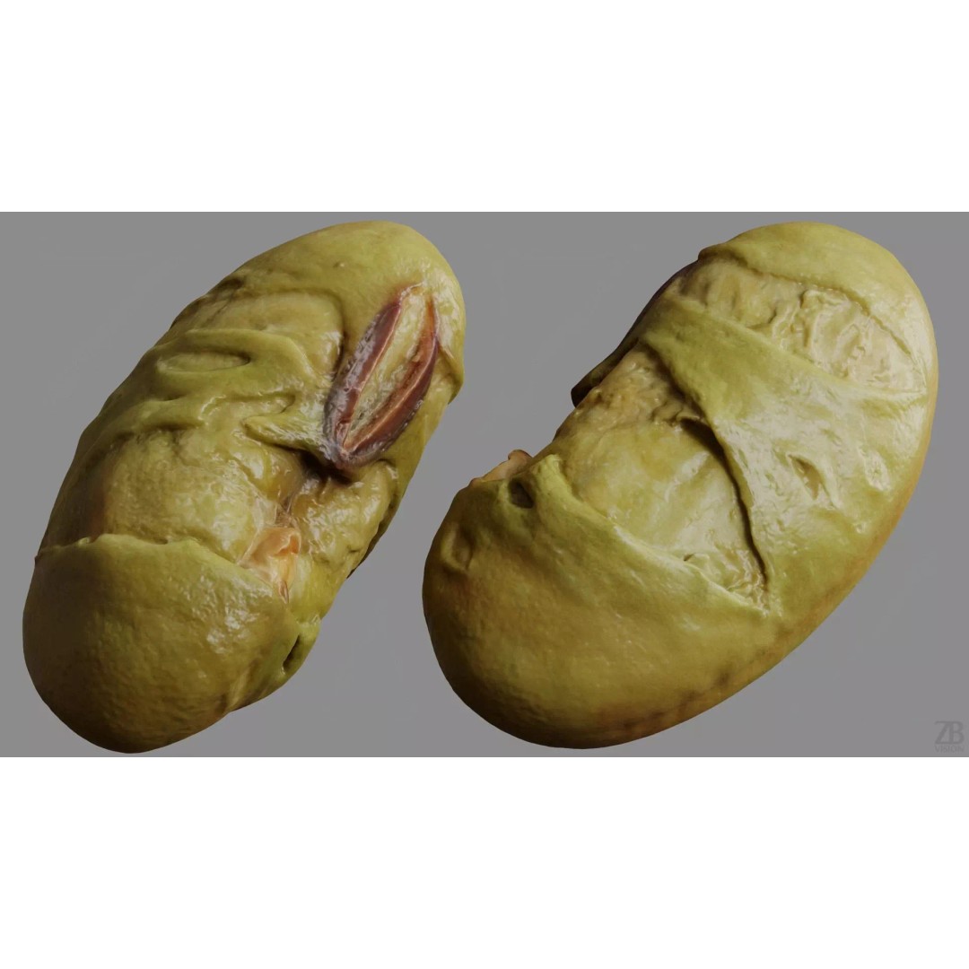 Edamame Bean 3D Model – Low Poly Photorealistic Asset, FBX