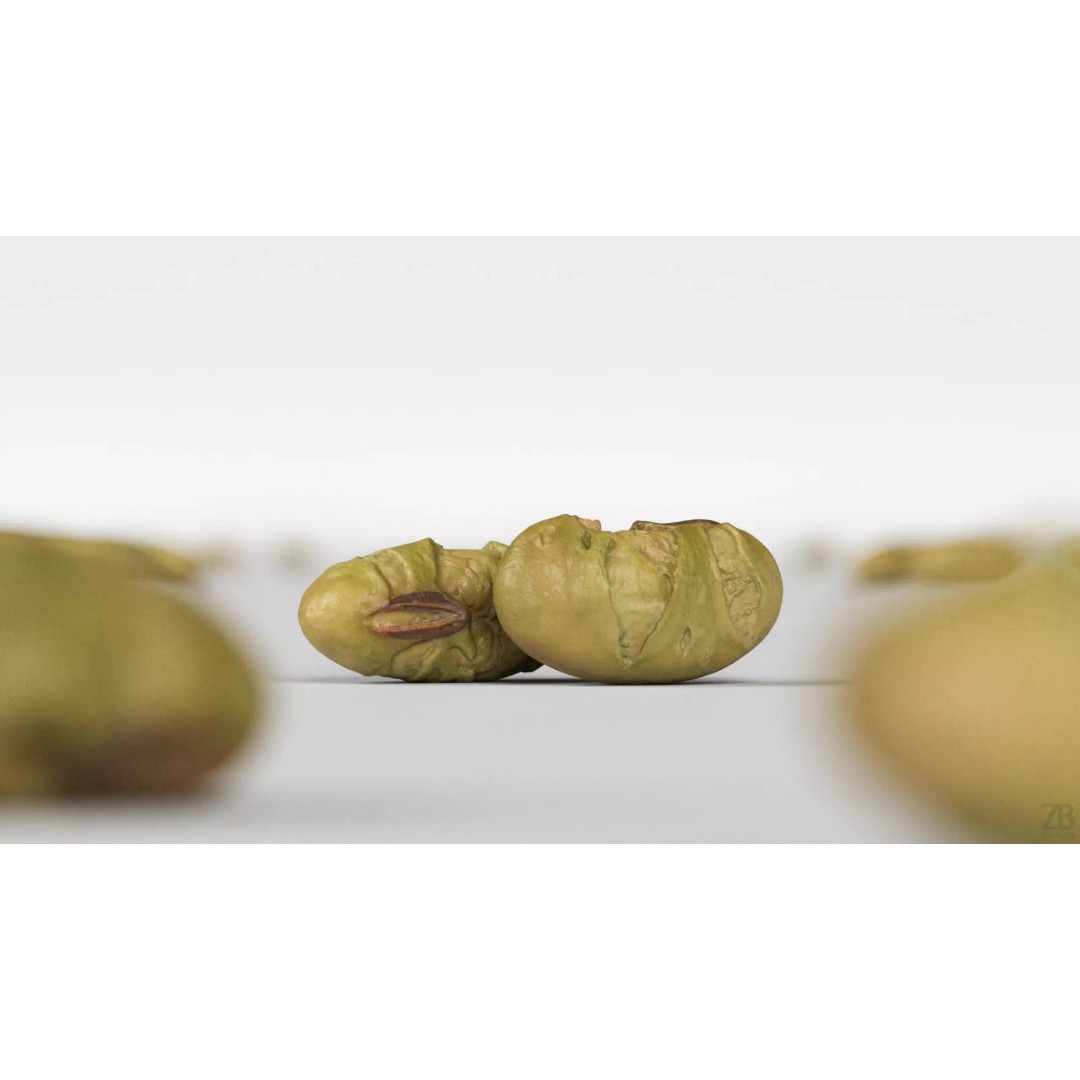 Edamame Bean 3D Model – Low Poly Photorealistic Asset, FBX - View 3