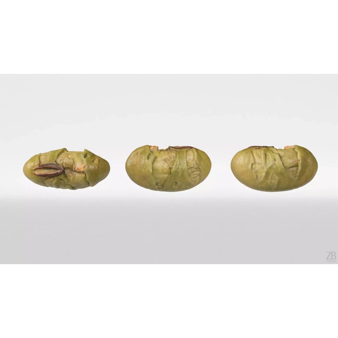 Edamame Bean 3D Model – Low Poly Photorealistic Asset, FBX - View 6