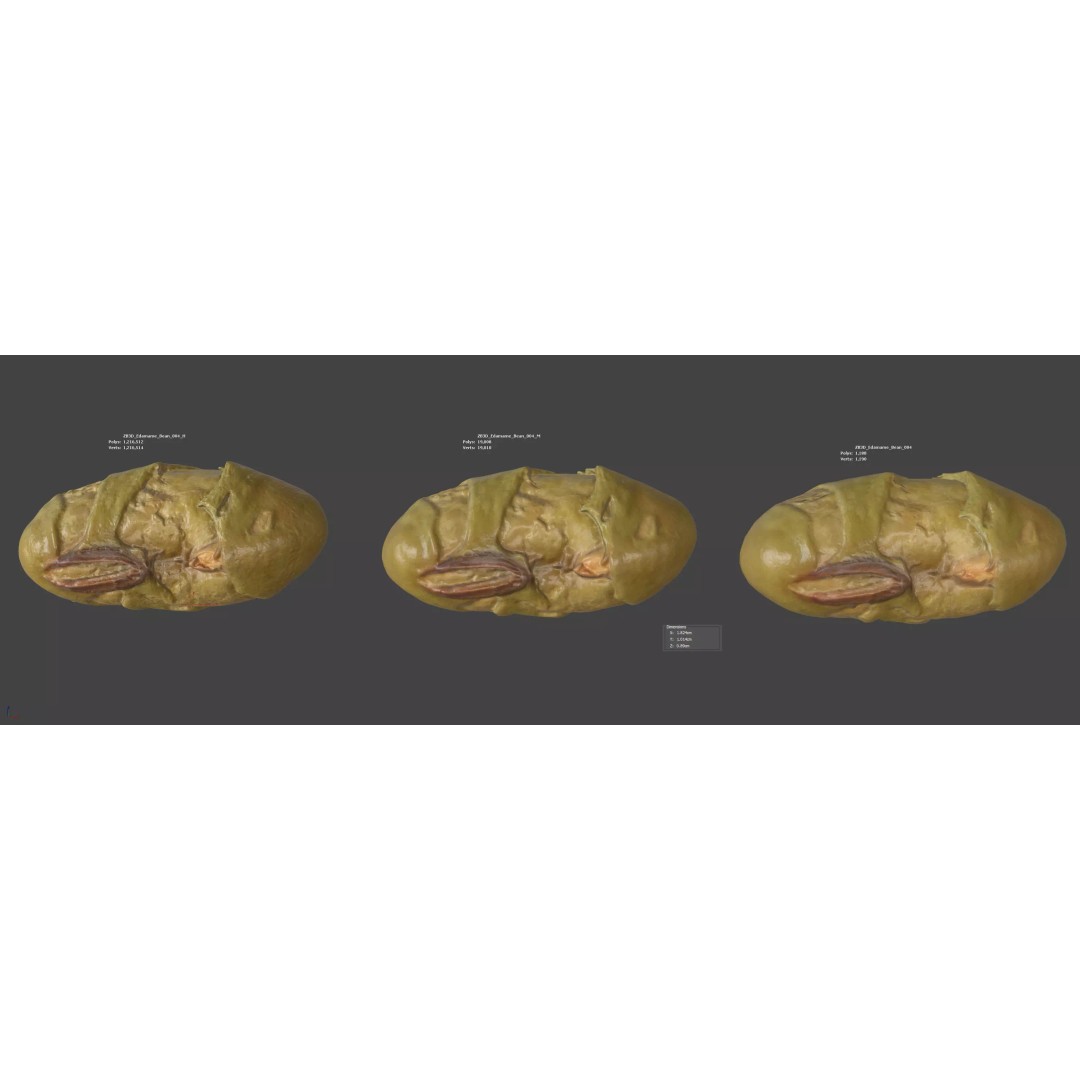 Edamame Bean 3D Model – Low Poly Photorealistic Asset, FBX - View 7