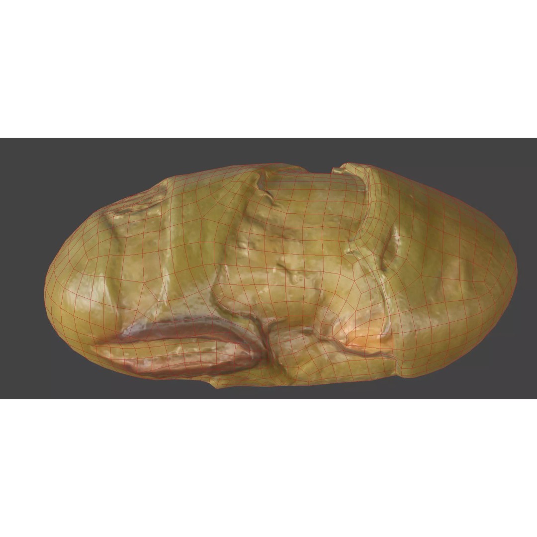 Edamame Bean 3D Model – Low Poly Photorealistic Asset, FBX - View 8