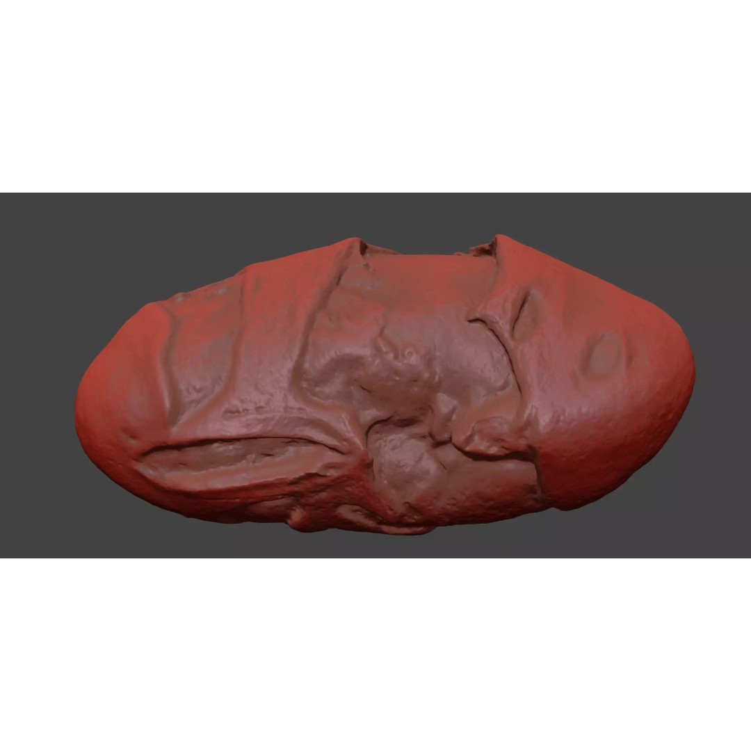 Edamame Bean 3D Model – Low Poly Photorealistic Asset, FBX - View 9