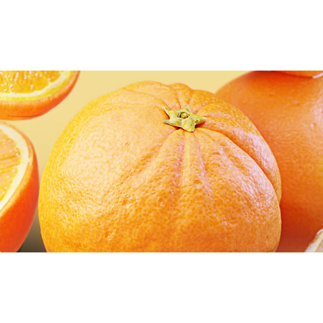 Realistic Orange 3D Model – Animated, PBR Textured, Blender, FBX - View 14