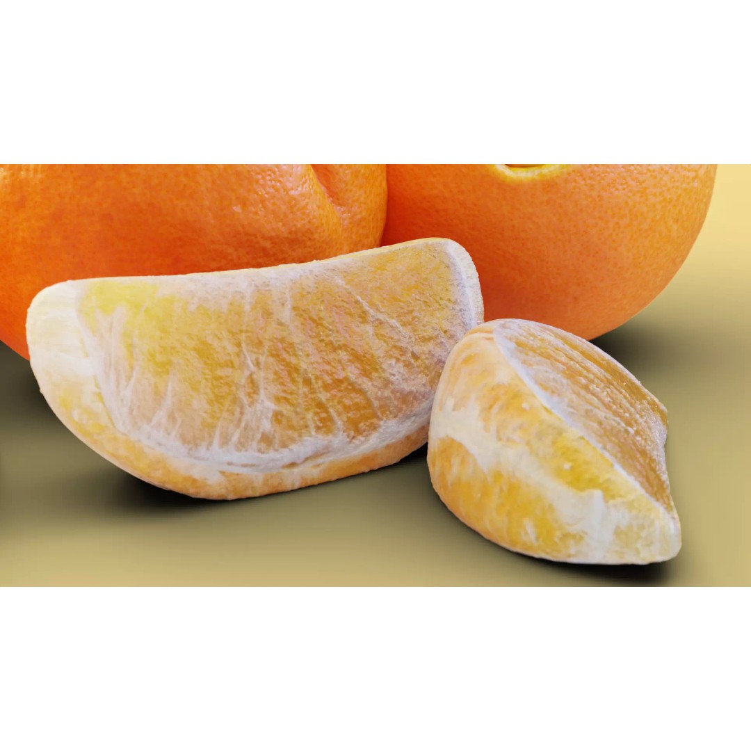 Realistic Orange 3D Model – Animated, PBR Textured, Blender, FBX - View 15