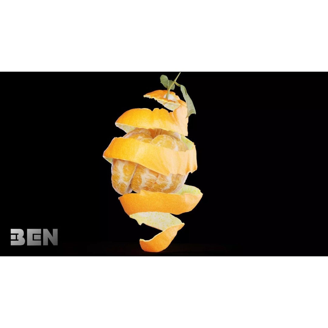 Realistic Orange 3D Model – Animated, PBR Textured, Blender, FBX - View 19