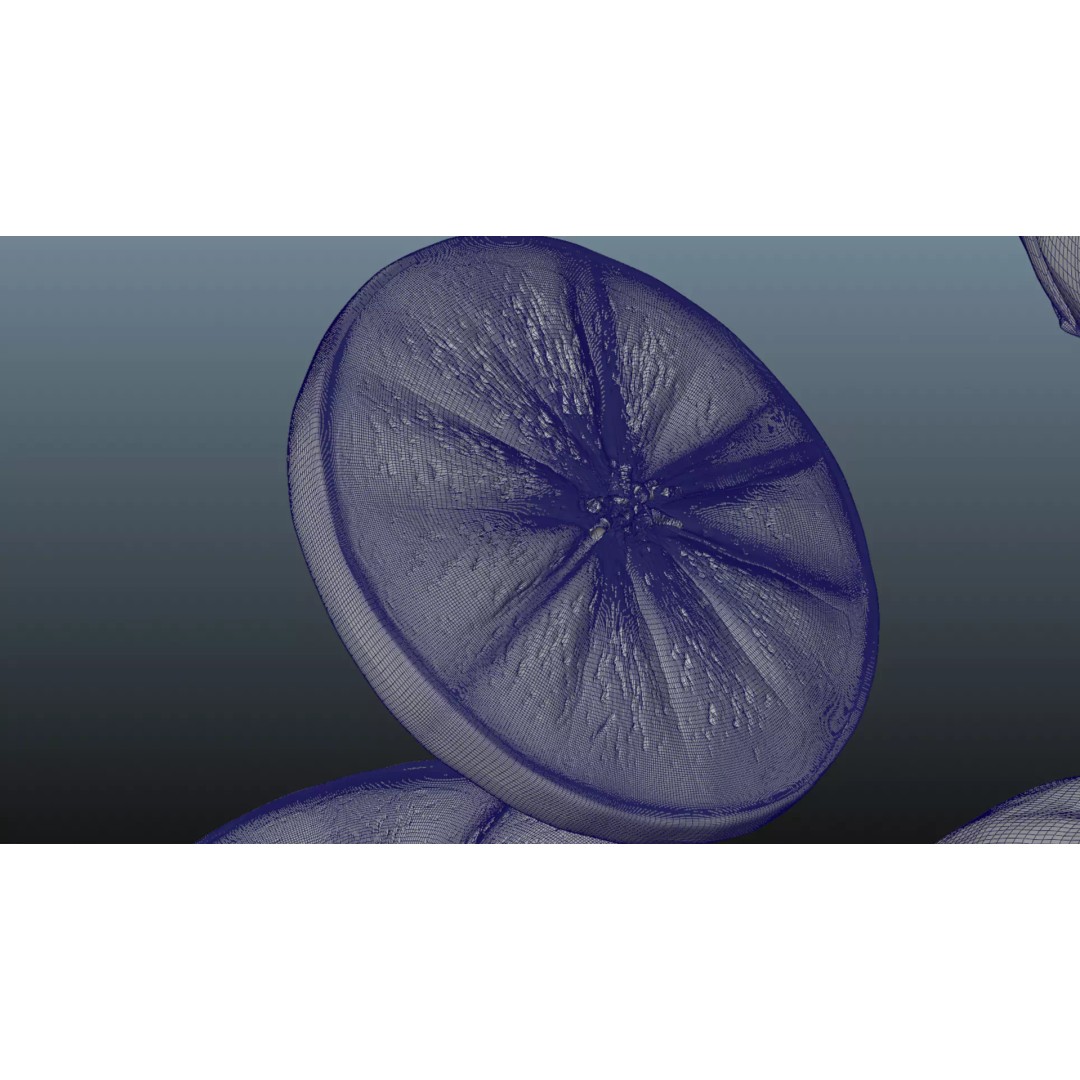 Realistic Orange 3D Model – Animated, PBR Textured, Blender, FBX - View 25