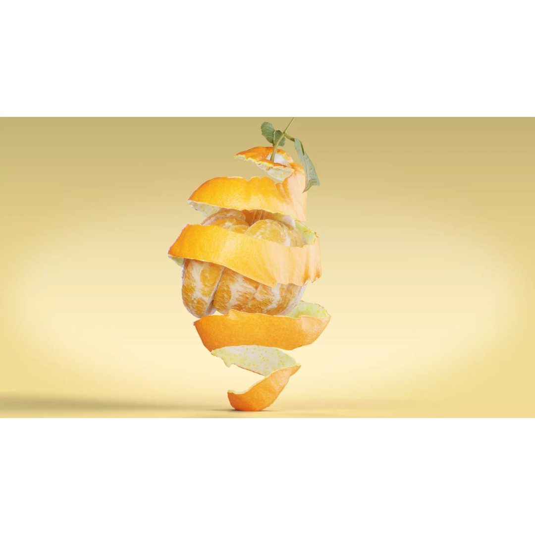 Realistic Orange 3D Model – Animated, PBR Textured, Blender, FBX - View 4