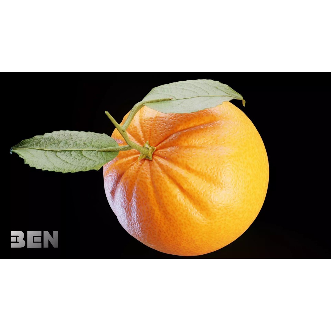 Realistic Orange 3D Model – Animated, PBR Textured, Blender, FBX - View 5