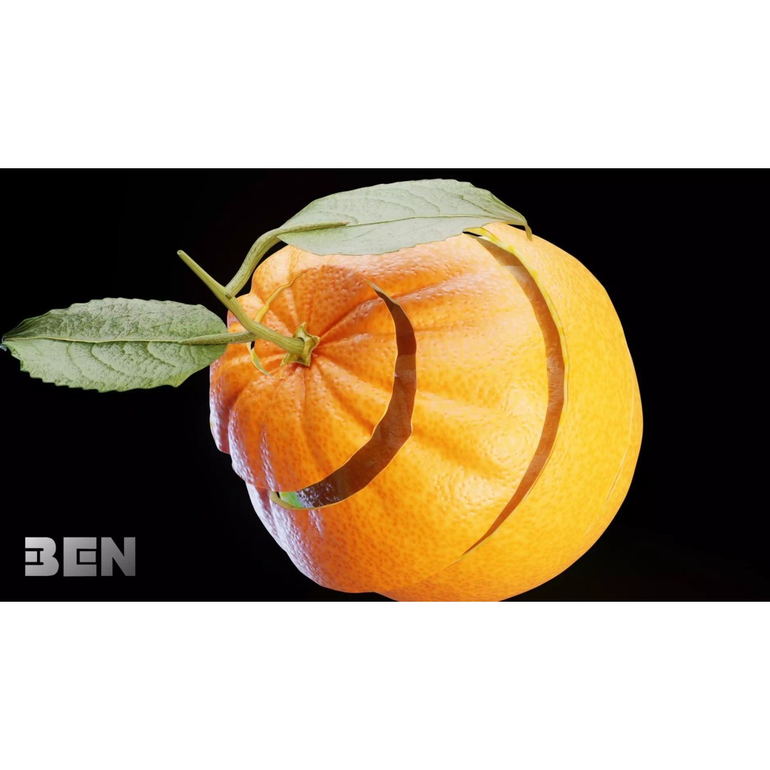 Realistic Orange 3D Model – Animated, PBR Textured, Blender, FBX - View 6
